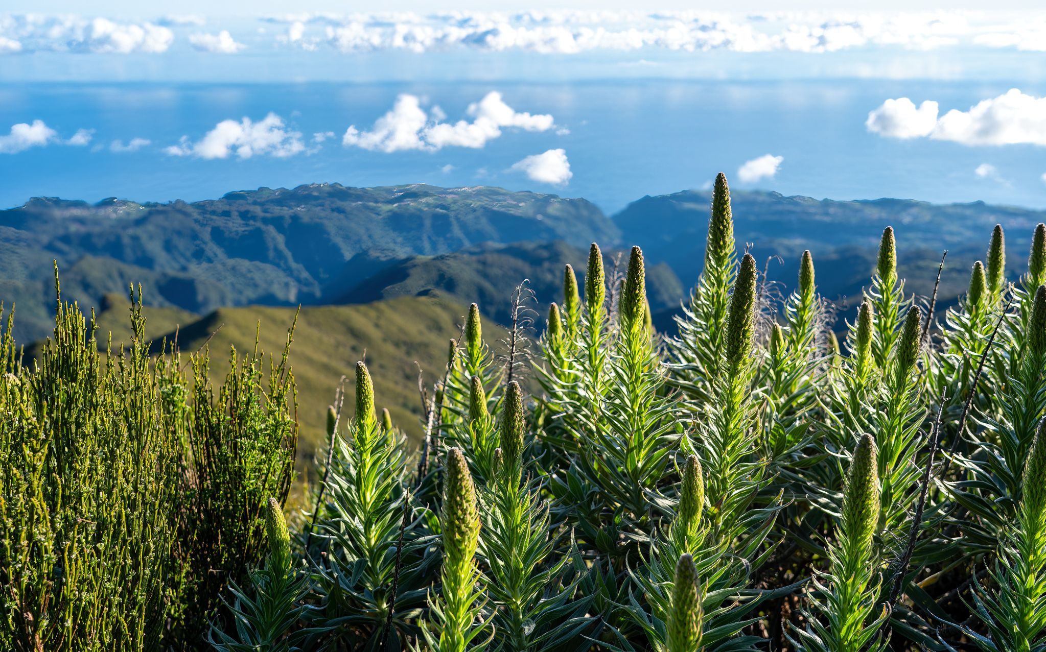 20250516 083424 Santana   Tagesausflug zum Pico Ruivo